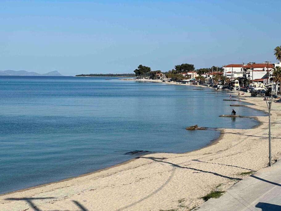Anemomylos By The Sea